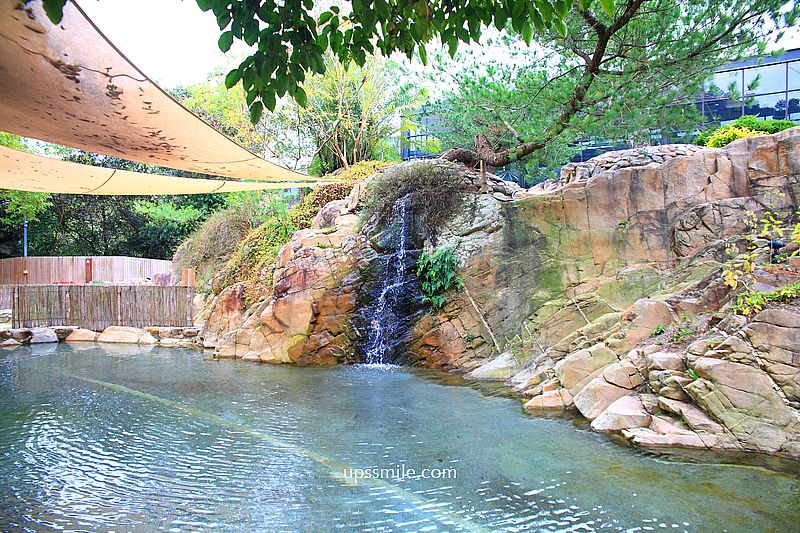 春水堂南投國姓千坪日式森林茶屋景觀咖啡廳【春秋山林】足浴超放鬆 春水堂南投國姓千坪日式森林茶屋景觀咖啡廳【春秋山林】足浴超放鬆