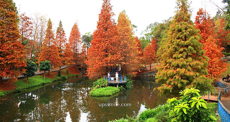 網站近期文章：桃園景點【長庚養生文化村落羽松公園】絕美夢幻水上木棧道落羽松秘境