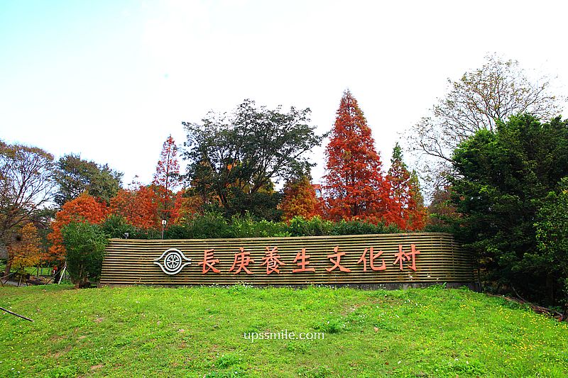 桃園景點【長庚養生文化村落羽松公園】絕美夢幻水上木棧道落羽松秘境 桃園景點【長庚養生文化村落羽松公園】絕美夢幻水上木棧道落羽松秘境