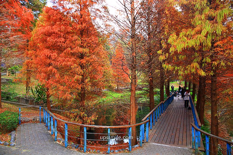 桃園景點【長庚養生文化村落羽松公園】絕美夢幻水上木棧道落羽松秘境 桃園景點【長庚養生文化村落羽松公園】絕美夢幻水上木棧道落羽松秘境