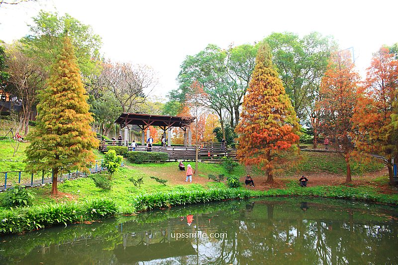 桃園景點【長庚養生文化村落羽松公園】絕美夢幻水上木棧道落羽松秘境 桃園景點【長庚養生文化村落羽松公園】絕美夢幻水上木棧道落羽松秘境