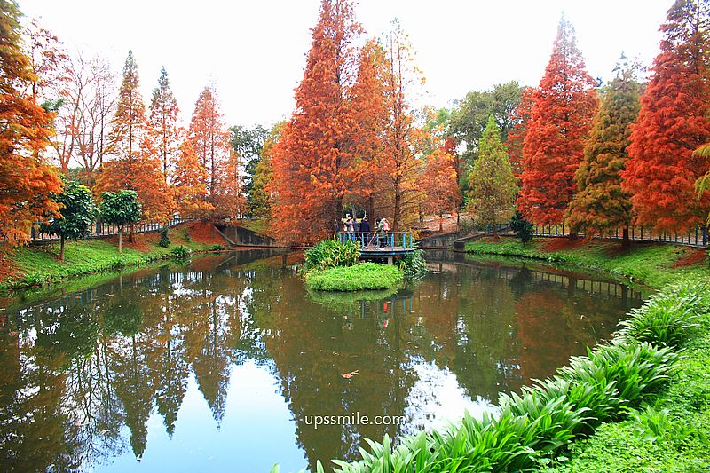 桃園景點【長庚養生文化村落羽松公園】絕美夢幻水上木棧道落羽松秘境 桃園景點【長庚養生文化村落羽松公園】絕美夢幻水上木棧道落羽松秘境