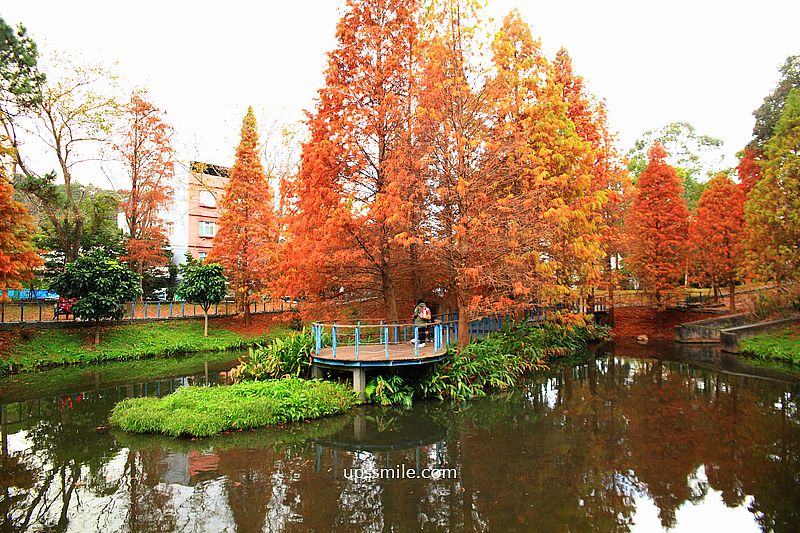 桃園景點【長庚養生文化村落羽松公園】絕美夢幻水上木棧道落羽松秘境 桃園景點【長庚養生文化村落羽松公園】絕美夢幻水上木棧道落羽松秘境