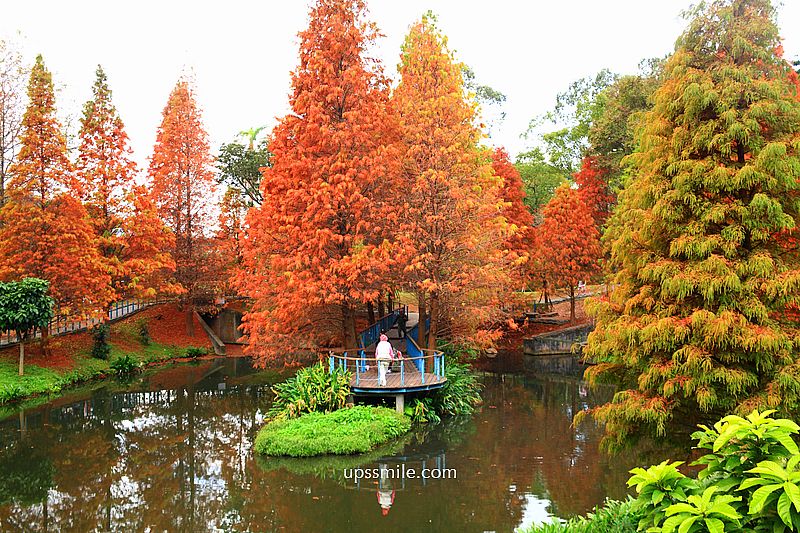 桃園景點【長庚養生文化村落羽松公園】絕美夢幻水上木棧道落羽松秘境 桃園景點【長庚養生文化村落羽松公園】絕美夢幻水上木棧道落羽松秘境