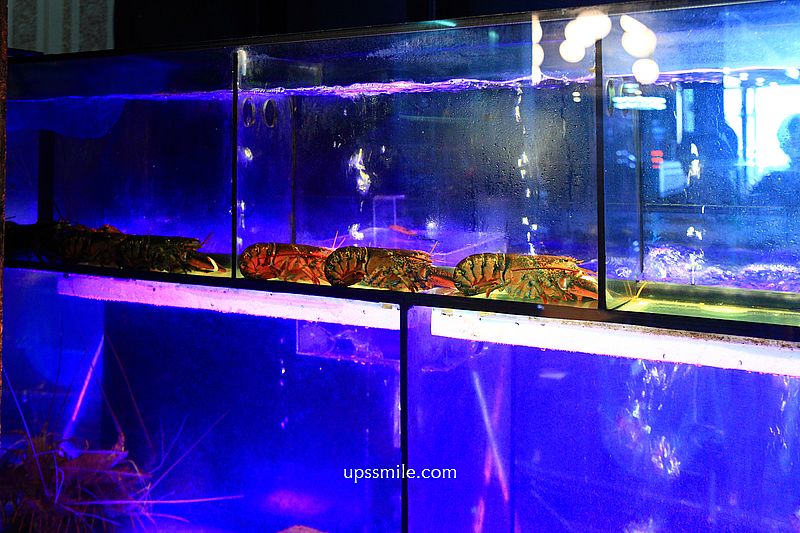 桃園藝文特區夜店風火鍋【派大鮮精緻鍋物】活體海鮮頂級鍋物