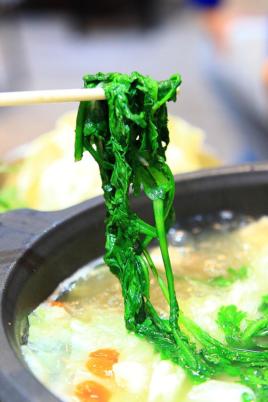 台中羊肉爐【阿誌蔬菜羊肉爐】本土溫體羊肉,台中菜心羊清甜湯底推薦 台中羊肉爐【阿誌蔬菜羊肉爐】本土溫體羊肉,台中菜心羊清甜湯底推薦