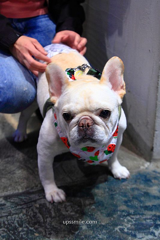 萬華美食【燒杯咖啡藝廚】 台北法鬥寵物友善咖啡廳,必吃火鍋簡餐與手作咖啡燒杯 萬華美食【燒杯咖啡藝廚】 台北法鬥寵物友善咖啡廳,必吃火鍋簡餐與手作咖啡燒杯