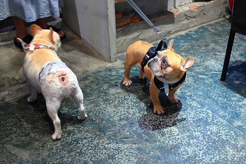 萬華美食【燒杯咖啡藝廚】 台北法鬥寵物友善咖啡廳,必吃火鍋簡餐與手作咖啡燒杯 萬華美食【燒杯咖啡藝廚】 台北法鬥寵物友善咖啡廳,必吃火鍋簡餐與手作咖啡燒杯