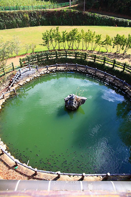 新竹美食【FIW FIW】新竹寶山森林系秘境西式料理餐廳 新竹美食【FIW FIW】新竹寶山森林系秘境西式料理餐廳