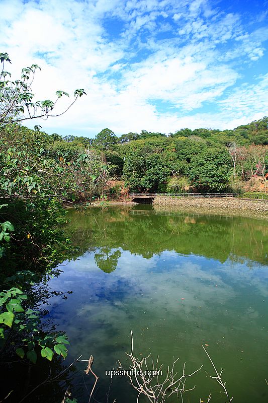 新竹美食【FIW FIW】新竹寶山森林系秘境西式料理餐廳 新竹美食【FIW FIW】新竹寶山森林系秘境西式料理餐廳