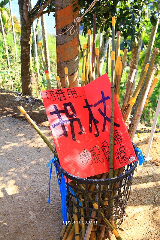 南投國姓景點【九尖茶廠麝香木】南投花海2026麝香木2000坪粉紫花海秘境