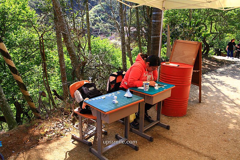 南投國姓景點【九尖茶廠麝香木】南投花海2026麝香木2000坪粉紫花海秘境