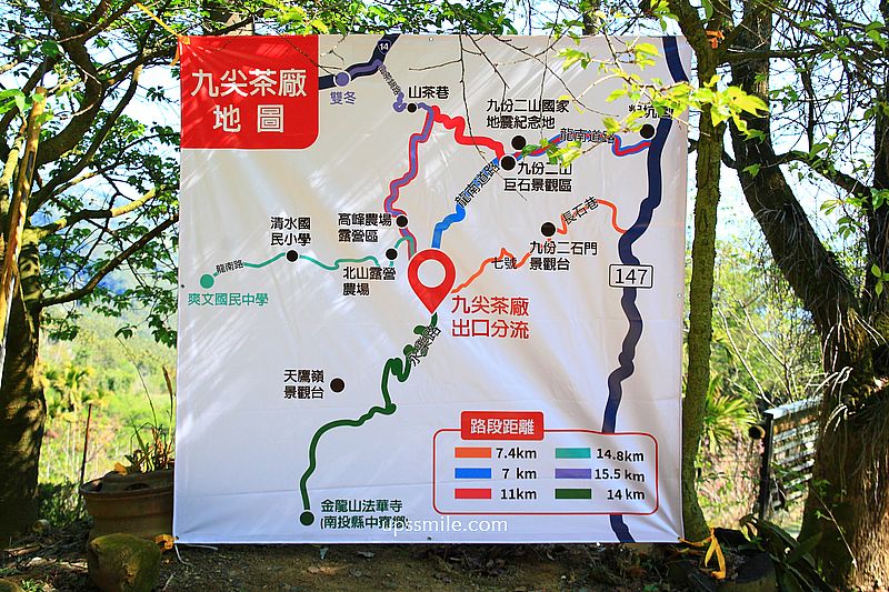 南投國姓景點【九尖茶廠麝香木】南投花海2026麝香木2000坪粉紫花海秘境