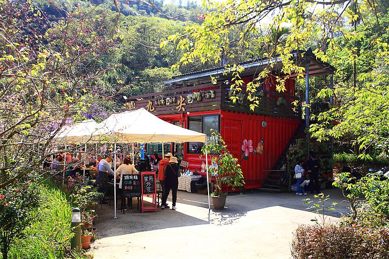 南投國姓景點【九尖茶廠麝香木】南投花海2026麝香木2000坪粉紫花海秘境