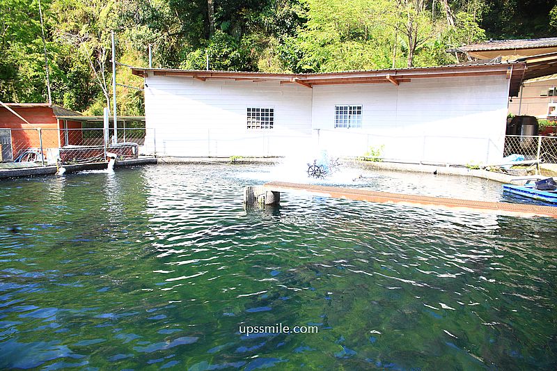 南投景點【金井珈琲】南投魚池山林昭和風咖啡廳,南投網美秘境咖啡廳 南投景點【金井珈琲】南投魚池山林昭和風咖啡廳,南投網美秘境咖啡廳