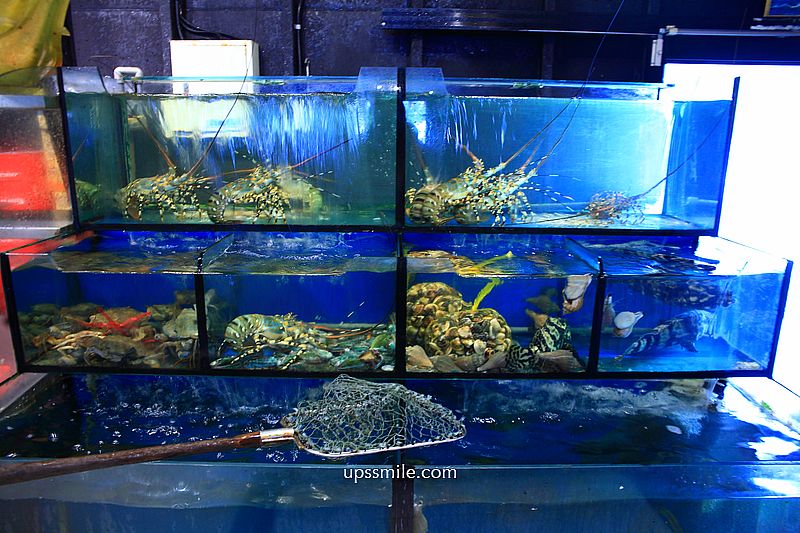 桃園美食【爹來做海鮮文中店】桃園交流道平價熱炒，桃園台菜現撈海產推薦