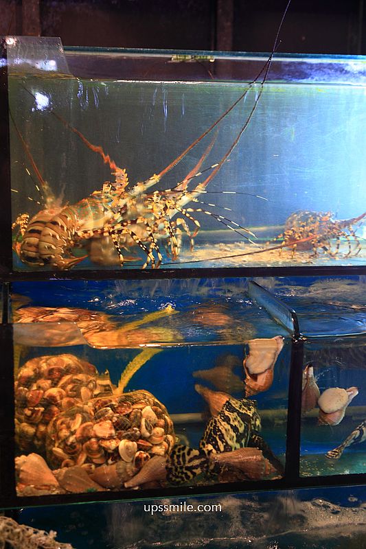 桃園美食【爹來做海鮮文中店】桃園交流道平價熱炒，桃園台菜現撈海產推薦