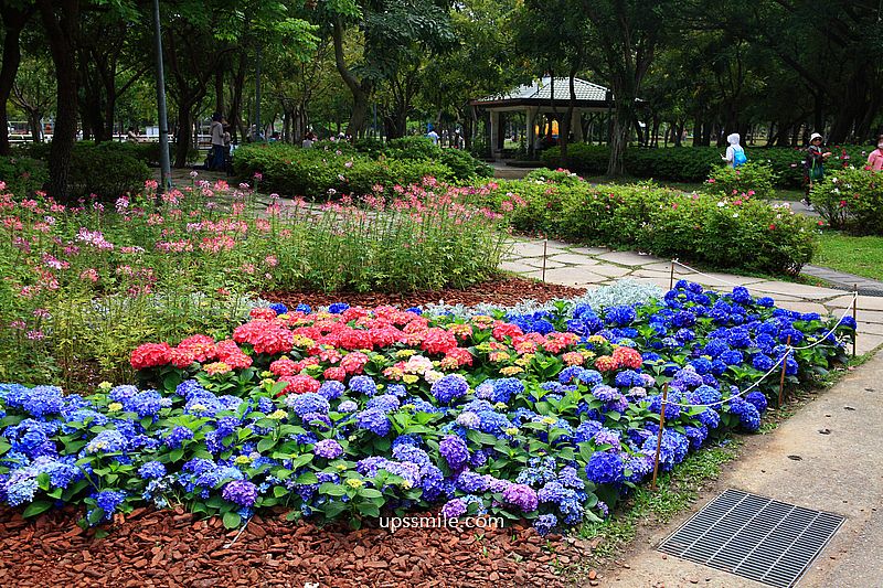路易莎大安森林公園店【北捷咖啡大安森林店】路易莎森林系玻璃屋不限時咖啡廳