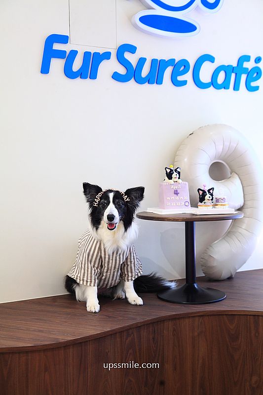 捷運信義安和站咖啡廳【Fur Sure Caf’e】台北寵物友善文昌街咖啡廳，必吃甜點狗狗造型蛋糕