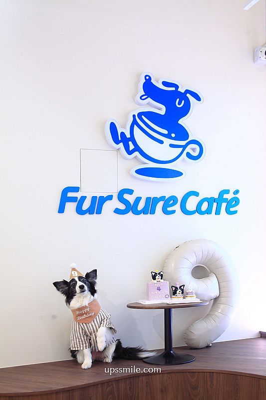 捷運信義安和站咖啡廳【Fur Sure Caf’e】台北寵物友善文昌街咖啡廳，必吃甜點狗狗造型蛋糕