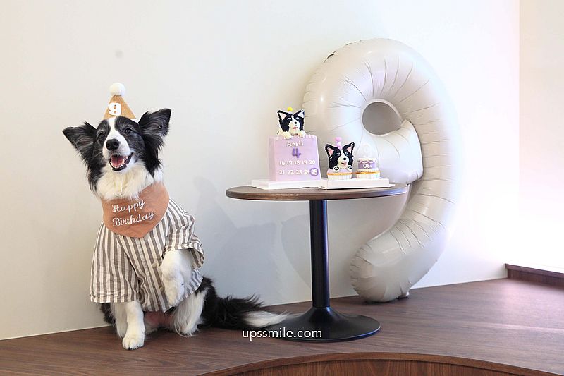 捷運信義安和站咖啡廳【Fur Sure Caf’e】台北寵物友善文昌街咖啡廳，必吃甜點狗狗造型蛋糕