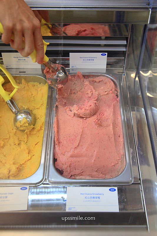 台北肉桂捲與冰淇淋組合【eee plant-based gelato and bakes】500甜推薦素食者與寵物狗狗可吃的冰淇淋 台北肉桂捲與冰淇淋組合【eee plant-based gelato and bakes】500甜推薦素食者與寵物狗狗可吃的冰淇淋
