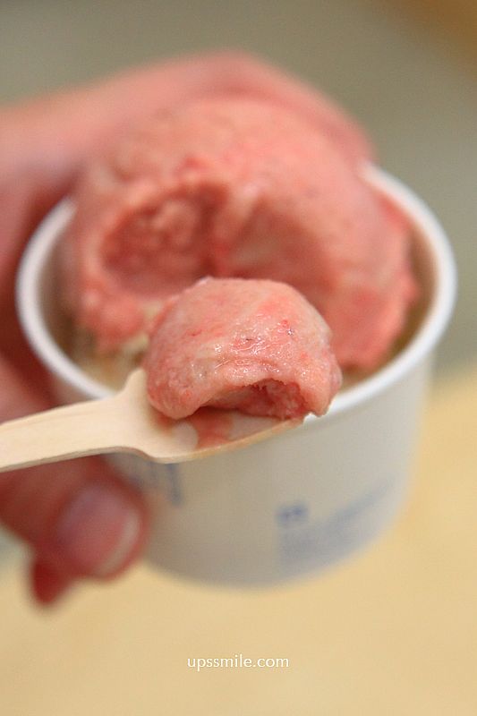 台北肉桂捲與冰淇淋組合【eee plant-based gelato and bakes】500甜推薦素食者與寵物狗狗可吃的冰淇淋 台北肉桂捲與冰淇淋組合【eee plant-based gelato and bakes】500甜推薦素食者與寵物狗狗可吃的冰淇淋