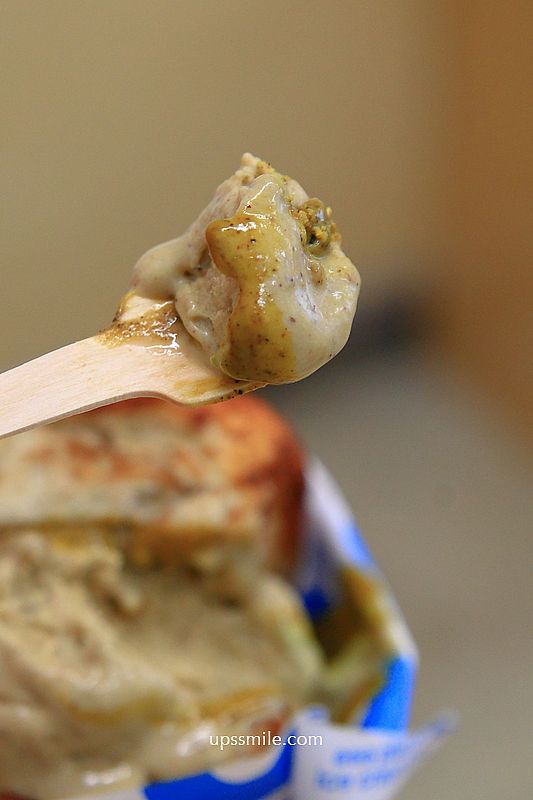 台北肉桂捲與冰淇淋組合【eee plant-based gelato and bakes】500甜推薦素食者與寵物狗狗可吃的冰淇淋 台北肉桂捲與冰淇淋組合【eee plant-based gelato and bakes】500甜推薦素食者與寵物狗狗可吃的冰淇淋