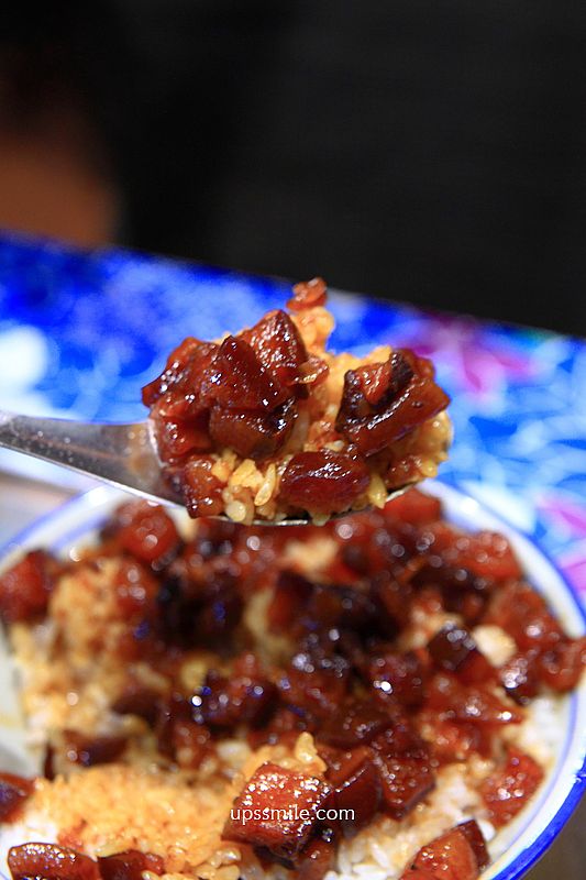 新店文山木柵美食【寶杏堂手切滷肉飯溫補羊肉湯】台北神等級好吃黑金滷肉飯